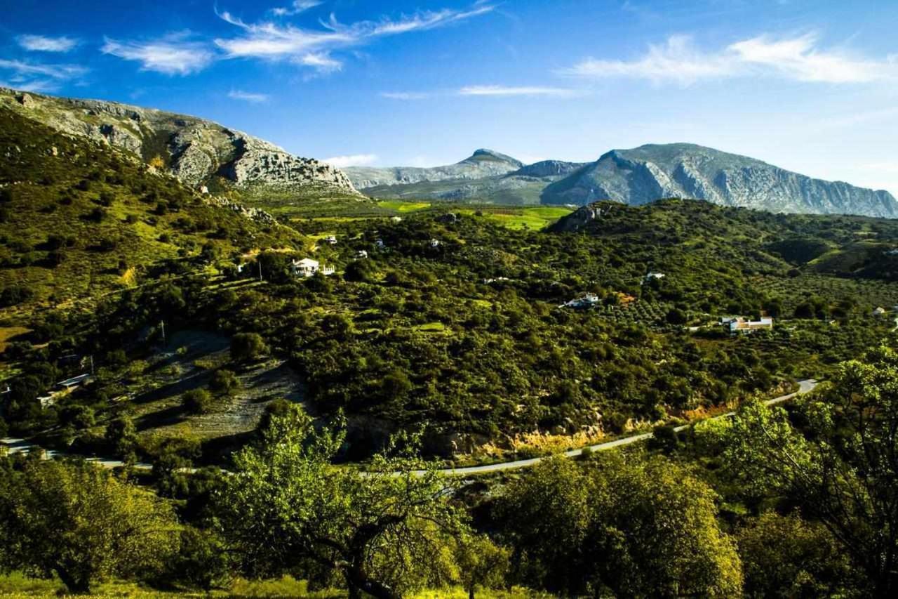אל צ'ורו Casa Rural El Chaparro מראה חיצוני תמונה