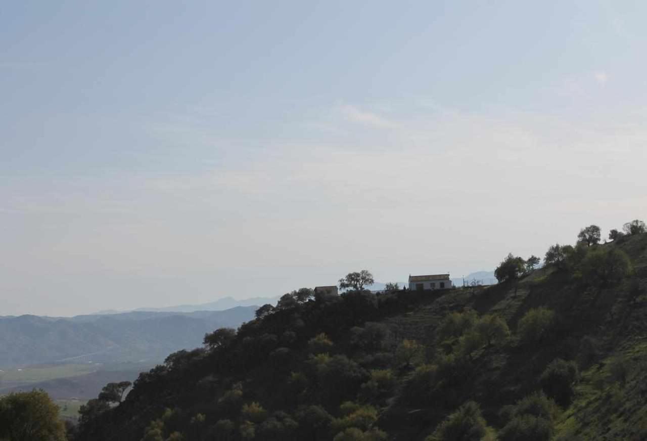 אל צ'ורו Casa Rural El Chaparro מראה חיצוני תמונה
